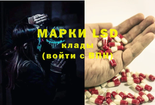 шишки Бронницы